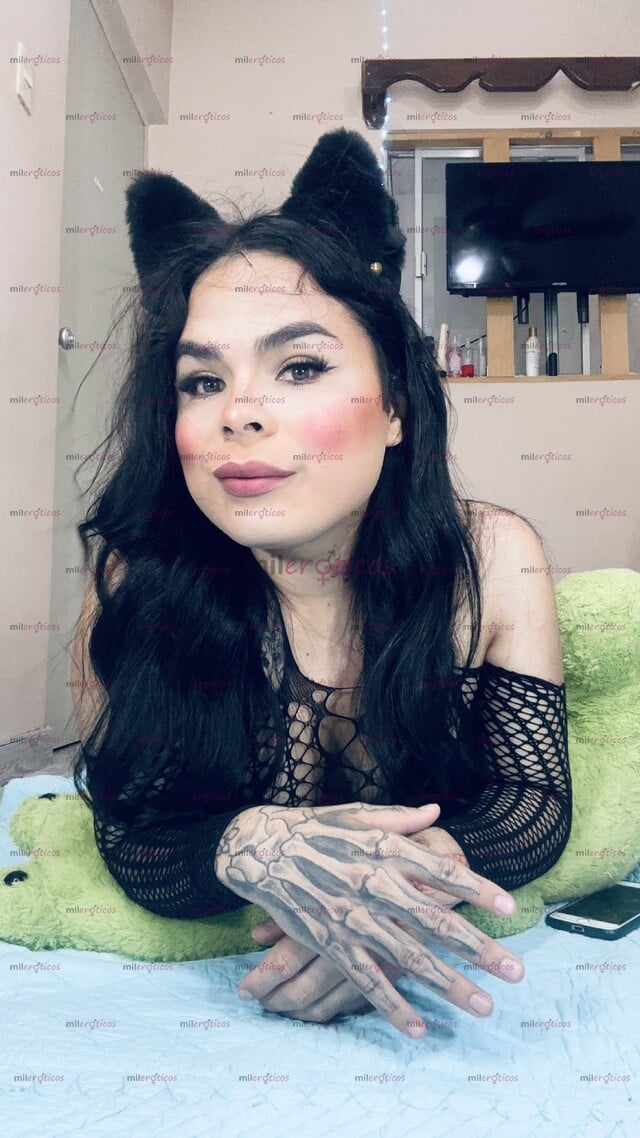 FOTOS DE NORTEÑA FEMENINA DEL TERCER SEXO, PARA CLIENTE SOLVENTES