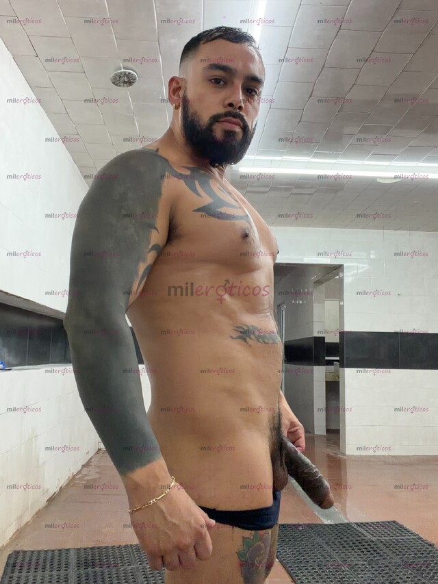 FOTOS DE PACO 100 % ACTIVO MACHO BARBON LECHERO LLÁMAME 8116022755