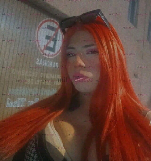 FOTOS DE HOLI CHICA TRANS CON 18 CM DE HERRAMIENTA DULCE TIERNA Y COMPLACIENTE A TU DISPO