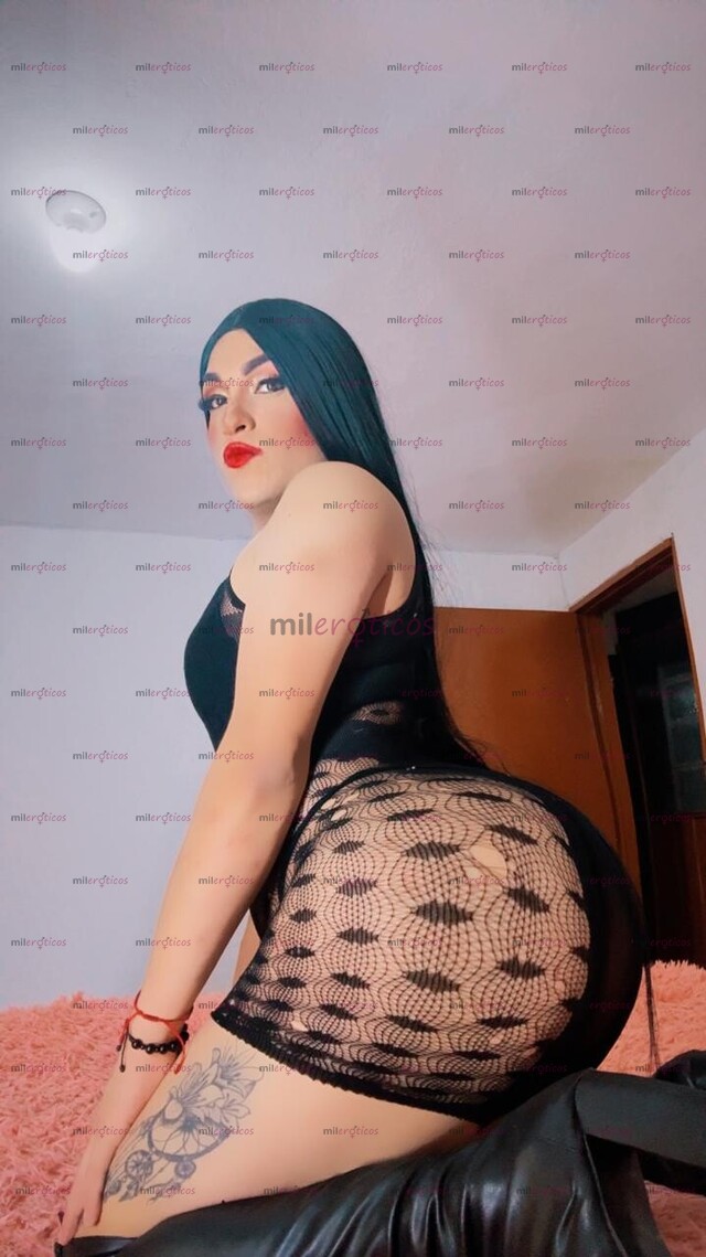 FOTOS DE POLLITA CULONA CON TETAS HORMONIZADAS CABALLOTA REAL EN TU CIUDAD VEN DISFRUTA
