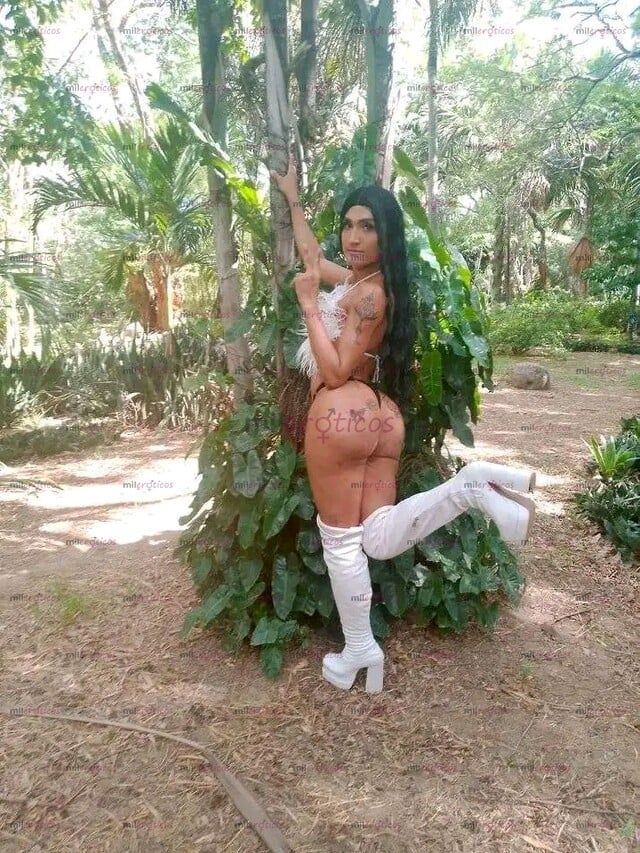 FOTOS DE BOMBA EXTROVERTIDA TRANS CALIENTE CULONA VERGONA FOGOSA