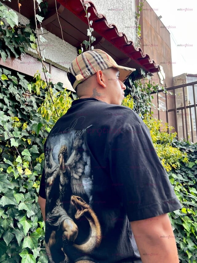 FOTOS DE TRIGUEÑO LECHERO MACHO SERIO DISCRETO EN VILLAVICENCIO