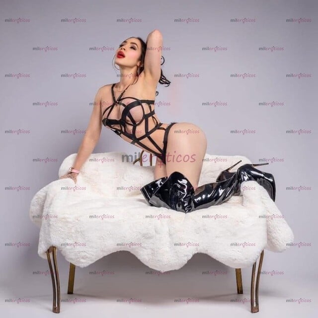 FOTOS DE DISPONIBLE UNA DE LAS MEJORES DEL POR TRAIGO MUCHA LECHE APROVECHA PARA PREÑARTE