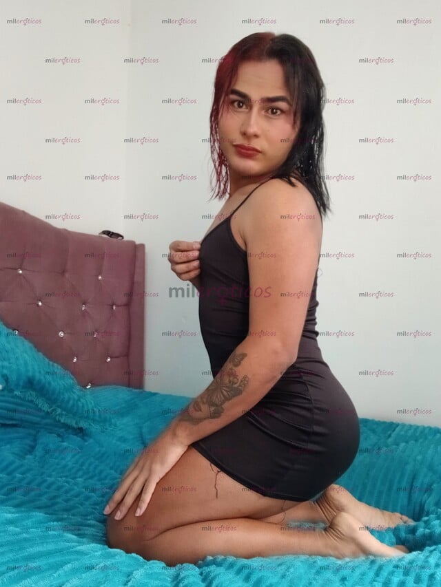 FOTOS DE TRANS EXTROVERTIDA, EL MAÑANERO ES DONDE MAS GANAS HAY
