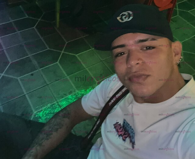 FOTOS DE TU ACOMPAÑANTE FAVORITO PARA LO QUE DESEES.