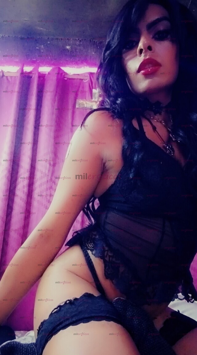 FOTOS DE EL UNIVERSO TRANS QUE DESPIERTA TU FANTASÍA.