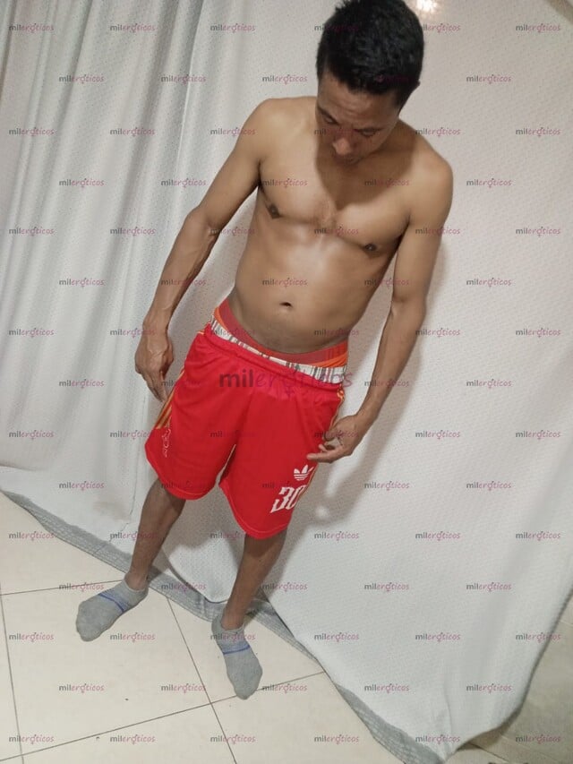 FOTOS DE SOY SALVADOR COSTEÑO VERGÓN 22 CM LECHERO DOMINANTE ARRECHO