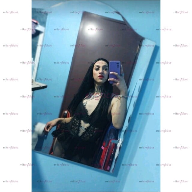FOTOS DE TU NUEVA FANTASÍA, LA PERRITA QUE QUIERES TENER EN 4 PARA SOMETER