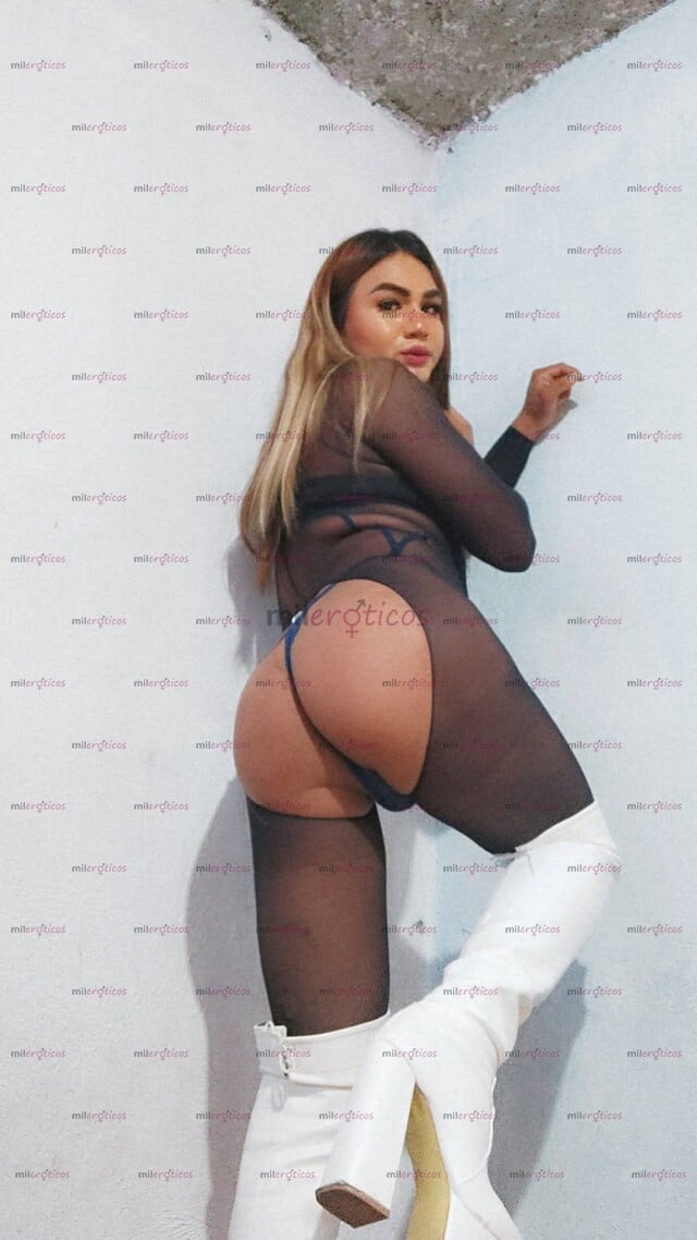 FOTOS DE ESTÁS BUSCANDO UNA PUTITA VEN DISFRUTA DE UN CULO DELICIOSO