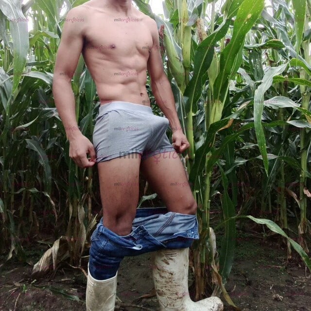 FOTOS DE TU CHOCOLATE CHIAPANECO, TE VA GUSTAR LO QUE VAS A VER