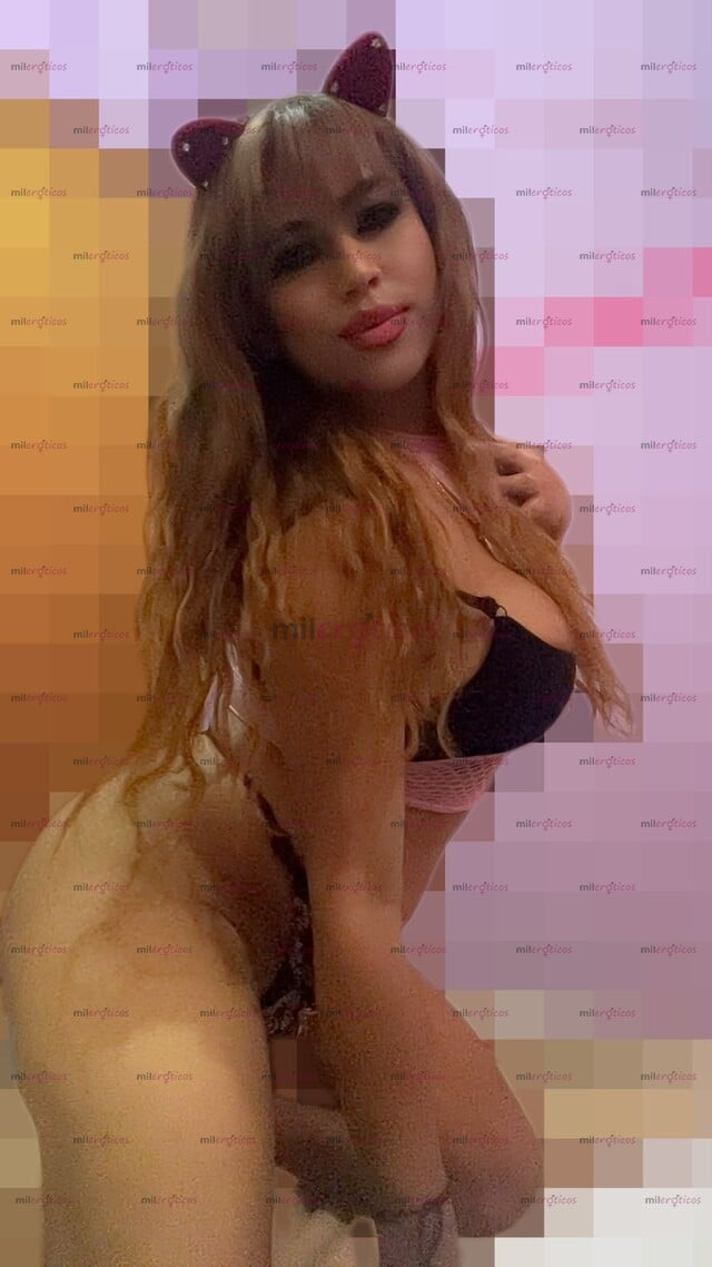 FOTOS DE NUEVO NUMERO!MANDO MÁS FOTOS AL WHATS ESCRIBEME PIDE INFORMEZ ESTOY EN TU CIUDAD