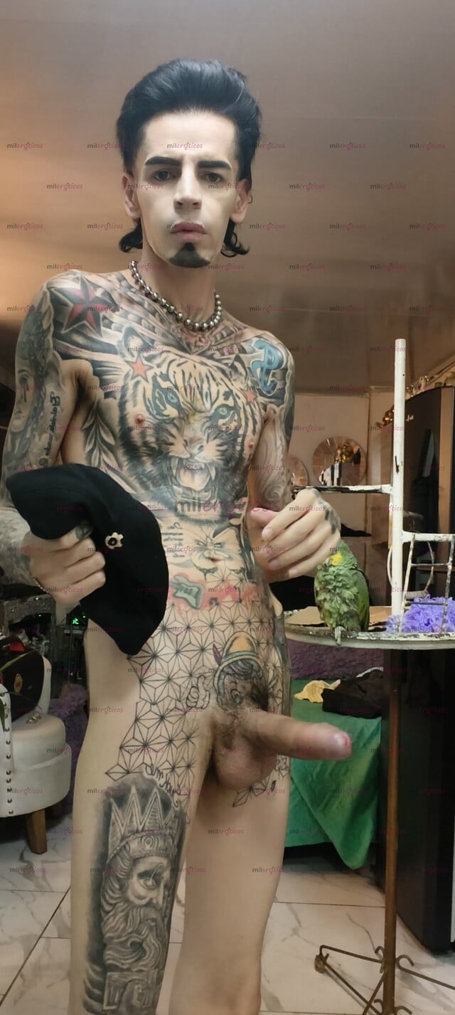 FOTOS DE FLACO ACTIVO VERGON SERIO TATUADO RESERVADO