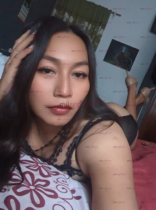 FOTOS DE BELLA DISCRETA SEXY ESCORT TRANS PRINCESA MAYA DISPONIBLE EN CANCUN