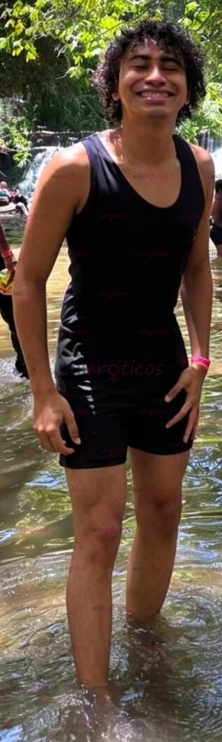 FOTOS DE POLLITO VERSÁTIL FANTASIOSOS DISPONIBLE 24 7