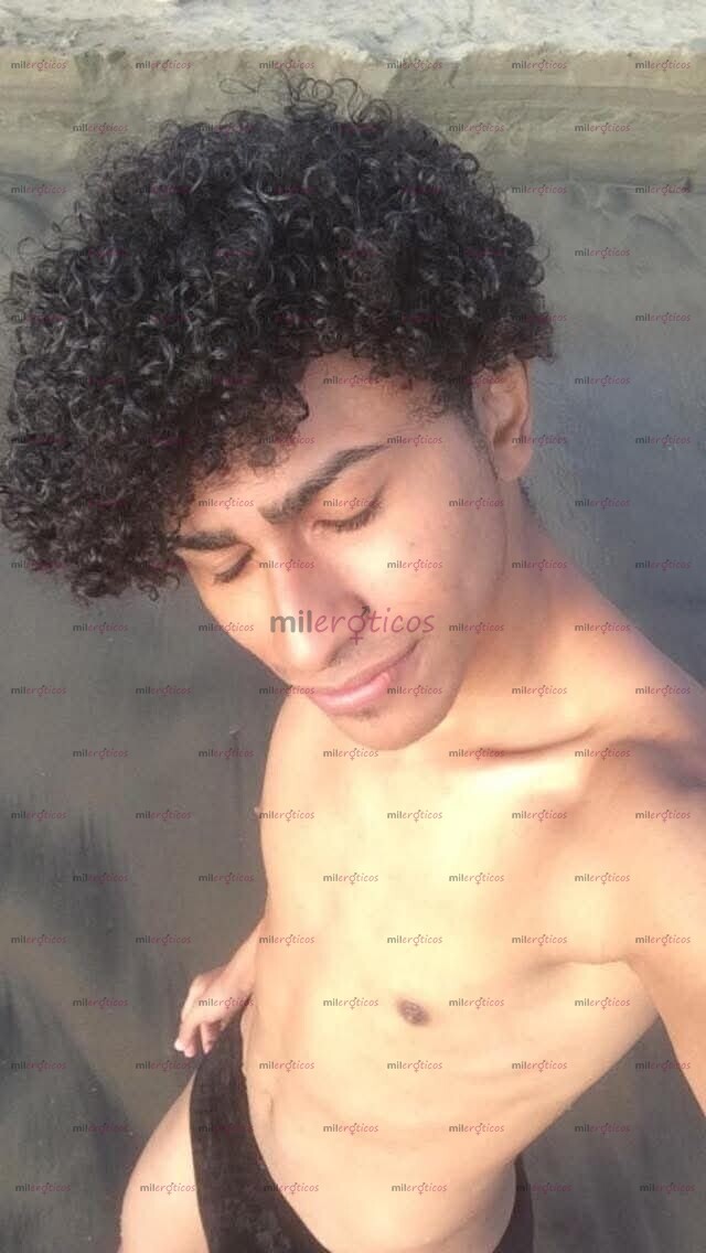 FOTOS DE POLLITO VERSÁTIL FANTASIOSOS DISPONIBLE 24 7