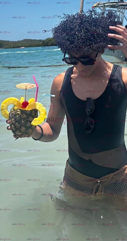FOTOS DE POLLITO VERSÁTIL FANTASIOSOS DISPONIBLE 24 7