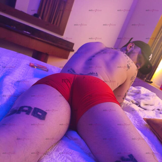 FOTOS DE RICKS CHICO CACHORRO 24 7 DISPONIBLE PARA TI