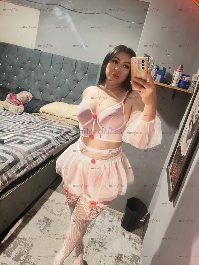 FOTOS DE 8116367277 DANY TRANS LLAMA O MANDA WHATSAPP CON UNA HORA DE ANTICIPACIÓN