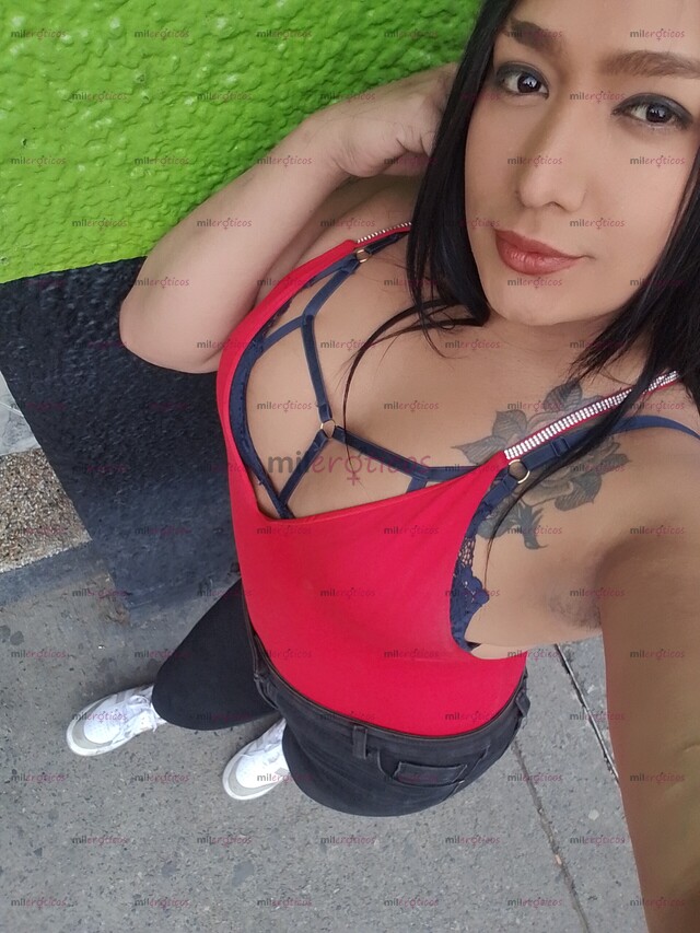 FOTOS DE MUCHO GUSTO CATALINA UNA HERMOSA CHICA TRANS DESCOMPLICADA LECHERA Y HORMONISADA
