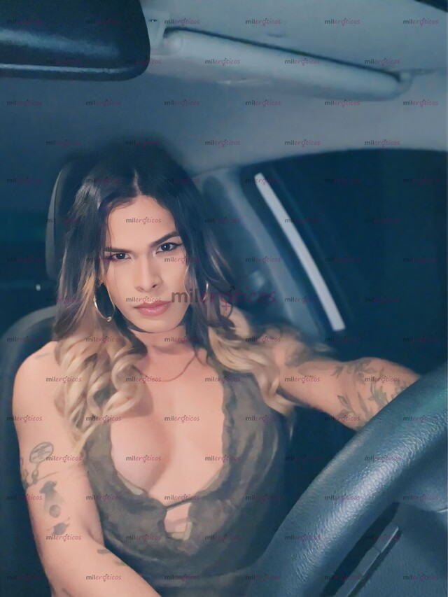 FOTOS DE CHIMBO PARA LAS PERRAS, MÁMAMELO EN EL CARRO OFERTA DE MADRUGADA