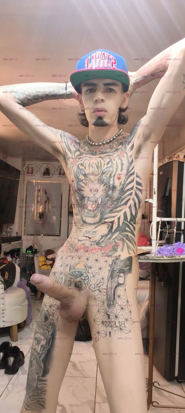FOTOS DE FLACO ACTIVO VERGON TATUADO BLANCO MORBOSO SITIO
