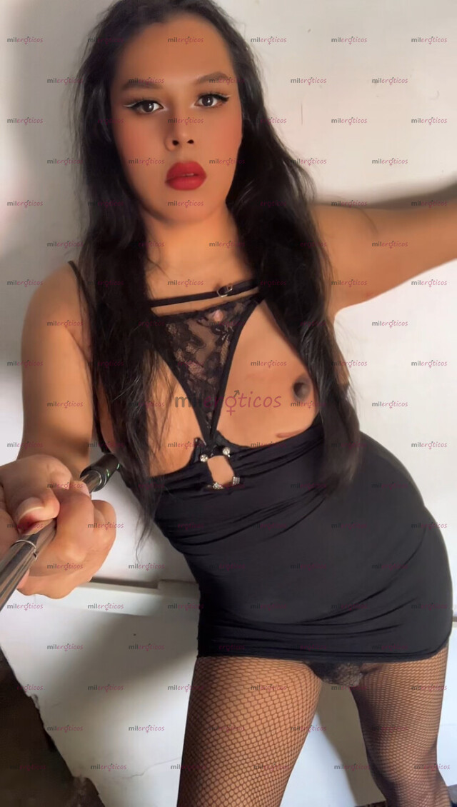 FOTOS DE TRAVESTIS LA FANTASÍA DE MUCHOS VENUS BITCH