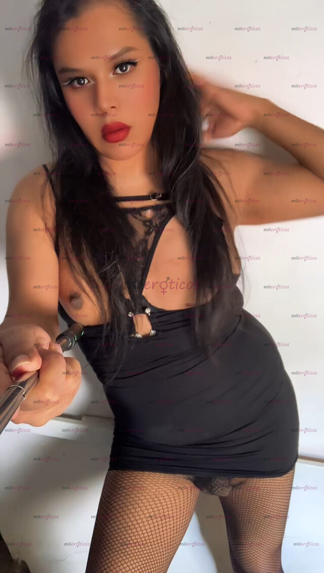 FOTOS DE TRAVESTIS LA FANTASÍA DE MUCHOS VENUS BITCH