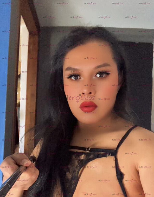 FOTOS DE TRAVESTIS LA FANTASÍA DE MUCHOS VENUS BITCH