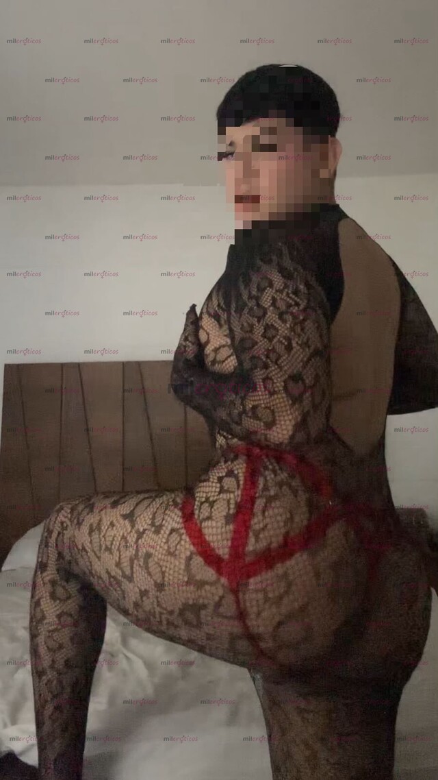 FOTOS DE FEMBOY DE 19 AÑOS NALGONA CALIENTE Y DISPUESTA A COMPLACER