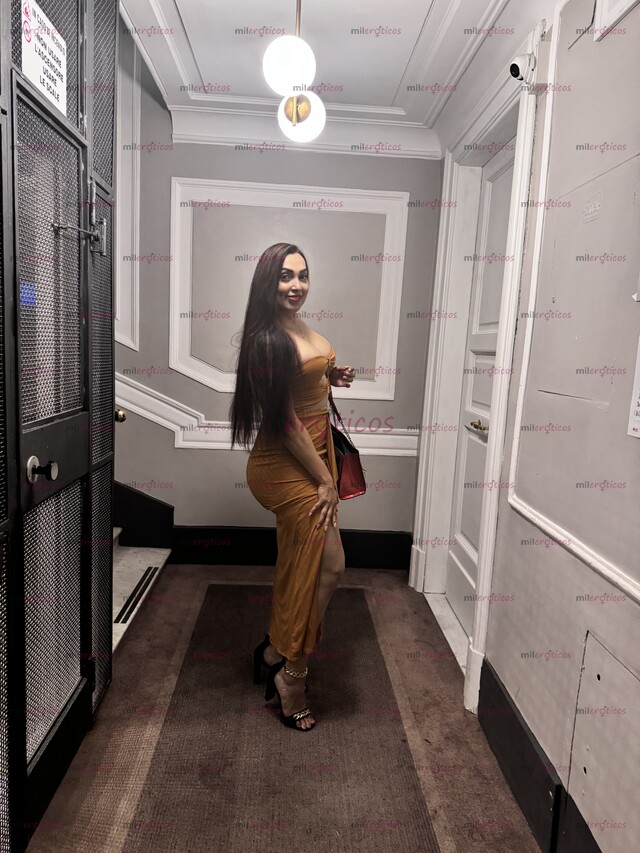 FOTOS DE SOFIA INTERNACIONAL POR PRIMERA VEZ EN CDMX 14 AL 22 DE AGOSTO