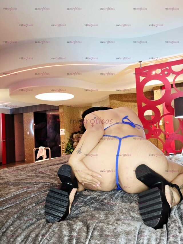 FOTOS DE TÚ PUTITA VIRTUAL CON EL MEJOR CONTENIDO EXPLICITO EN PROMO Y ADICTA AL MORBO.