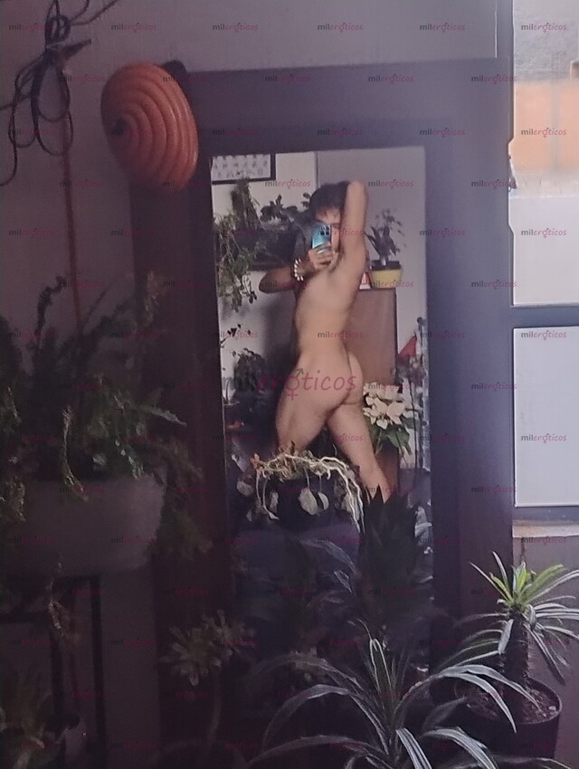 FOTOS DE SOY SIGFRID Y SOY INTER PASIVO TE VOY A OBEDECER