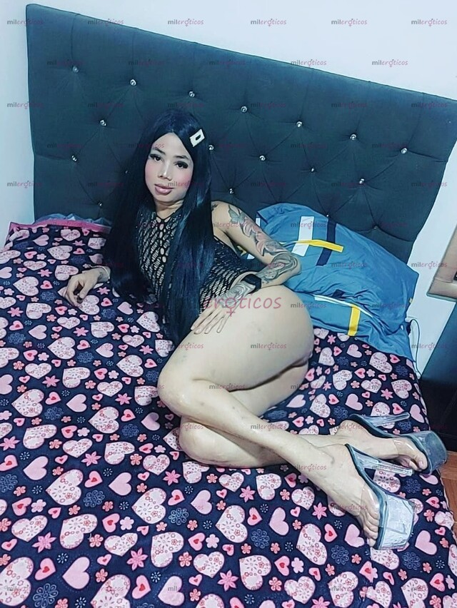 FOTOS DE NIÑA NINFOMANA NUEVA EN TU CIUDAD ARDIENTE 100%FEMENINA VERSÁTIL VERGONA CULONA