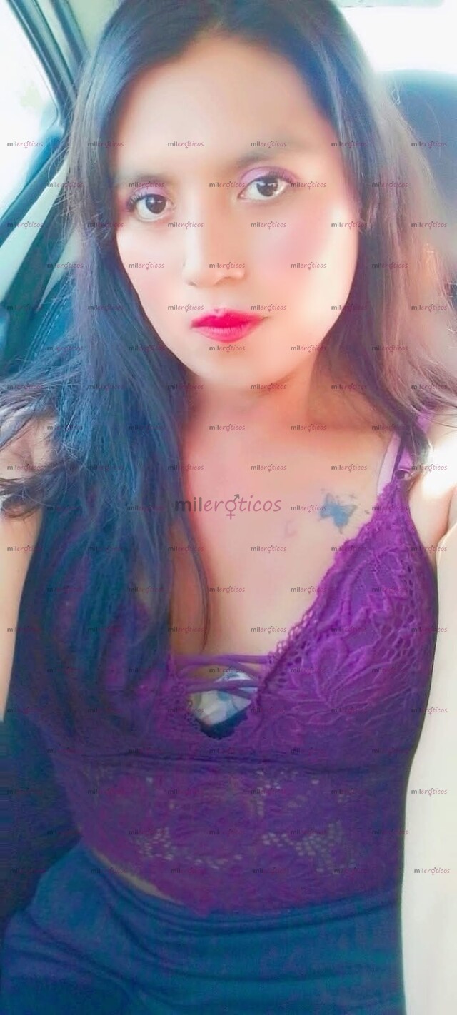 FOTOS DE SOY UNA MUJER TRANS LA MAMO RIQUÍSIMO SOY TODA UNA EXPERTA Y UNA PUTA EN LA CAMA