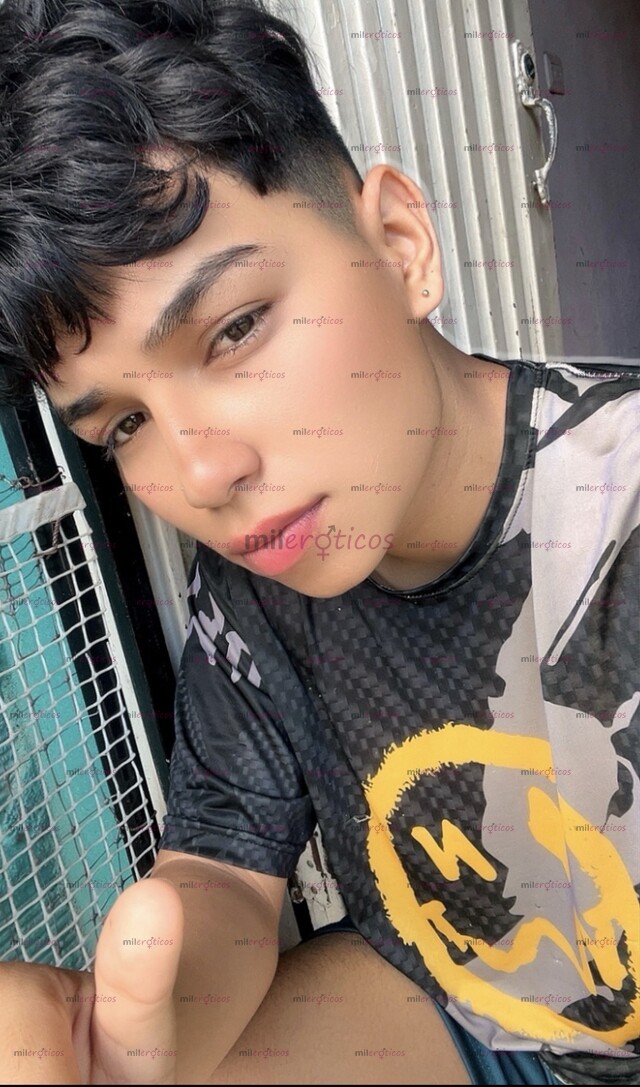 FOTOS DE POLLITO, PASIVO, PARCHADO, RELAJADO, DISCRETO