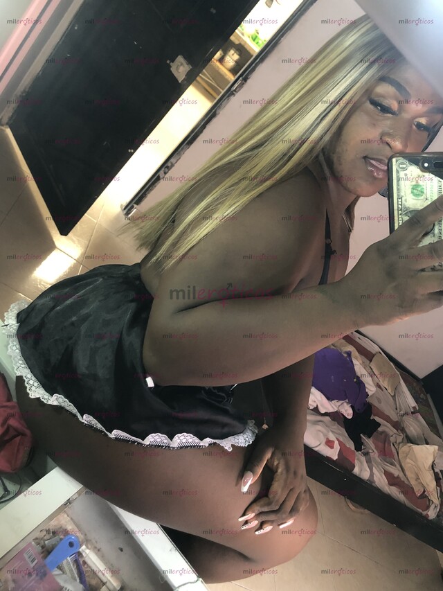 FOTOS DE TU PERRA FAVORITA LISTA PARA COMPLACERTE Y SER DETONA