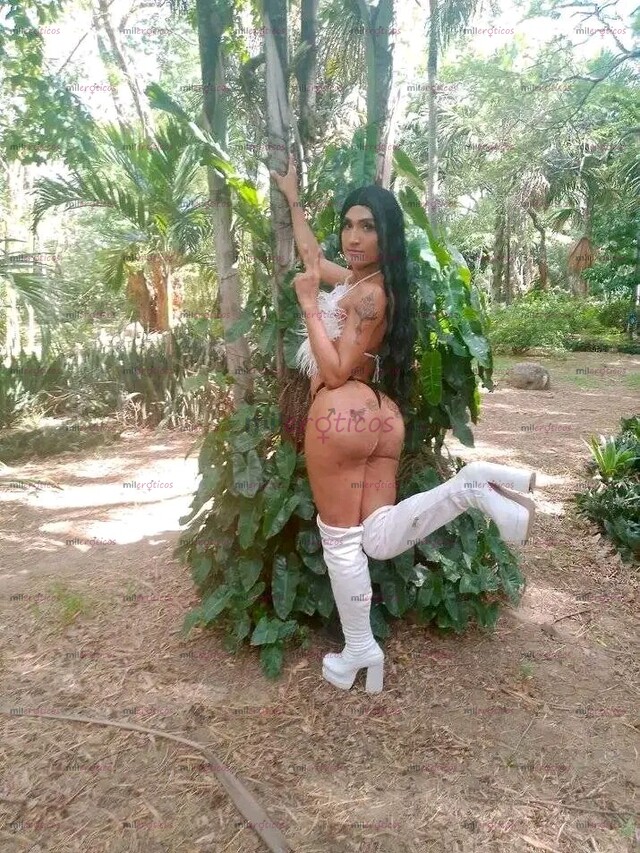 FOTOS DE TRANS COLOMBIA SEXY Y TRAVIESA Y MUY JUGUETONA FOGOSA AMOR