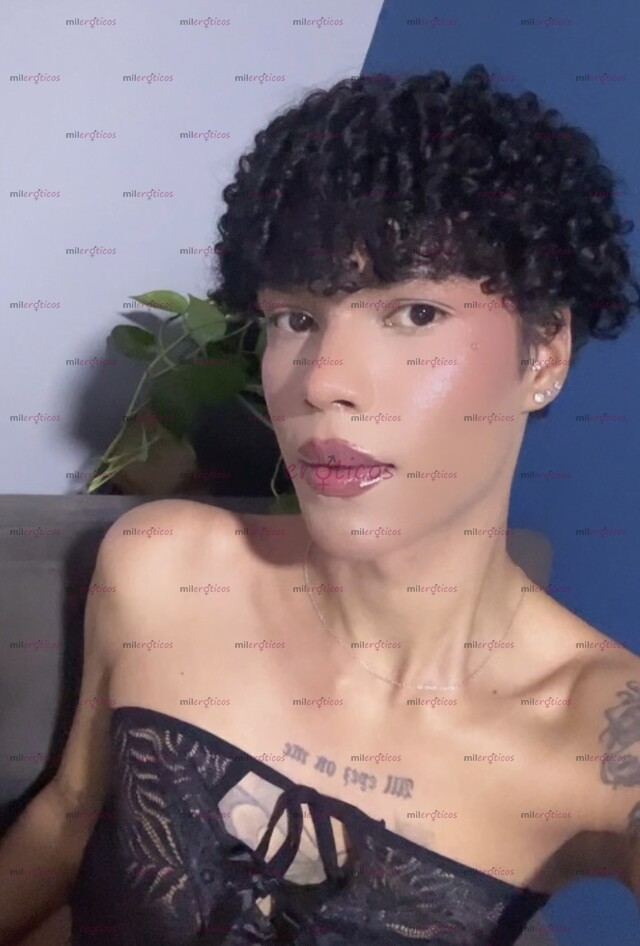 FOTOS DE HOLA NUEVA NENA EN TU CIUDAD FEMBOY EXÓTICA Y CALIENTE AGUANTADORA