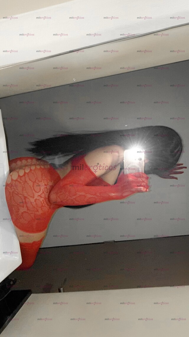 FOTOS DE ¡BELLADOLLYYY! LA CHICA TRANS MÁS PUTA NINFÓMANA Y DESEADA DE LA PÁGINA