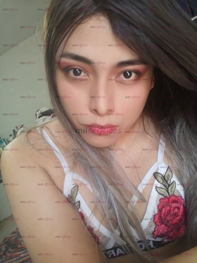 FOTOS DE TRANS EN LENCERÍA, UNIVERSITARIA FEMENINA