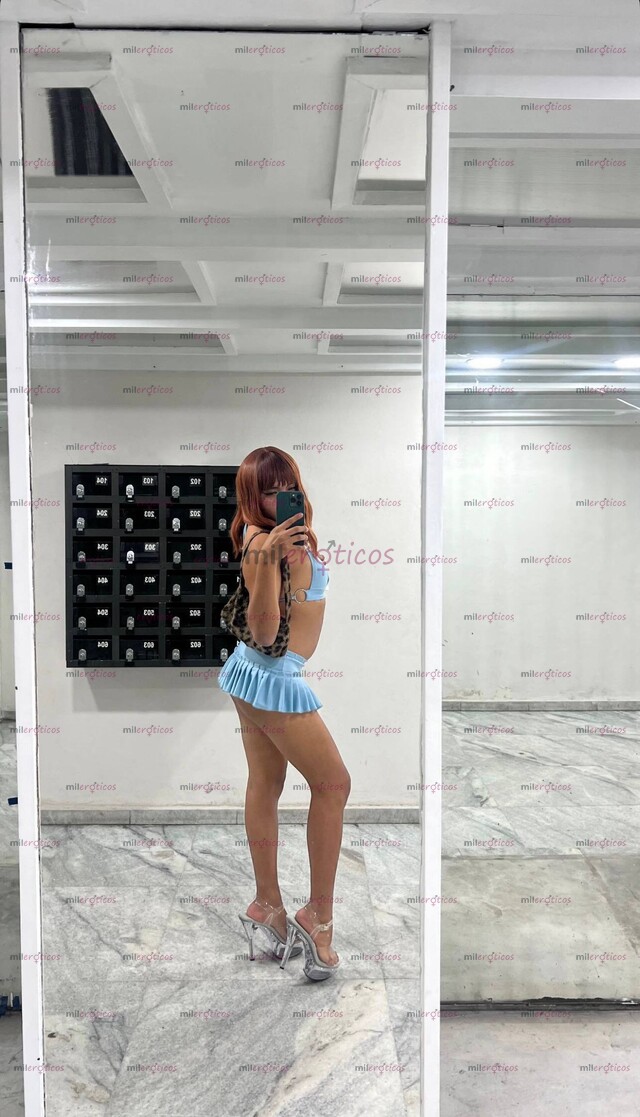 FOTOS DE COLEGIALACOQUETA, TU CHICA TRANS, SEXY Y CALIENTE: DISCRECIÓN TOTAL Y TRATO VIP
