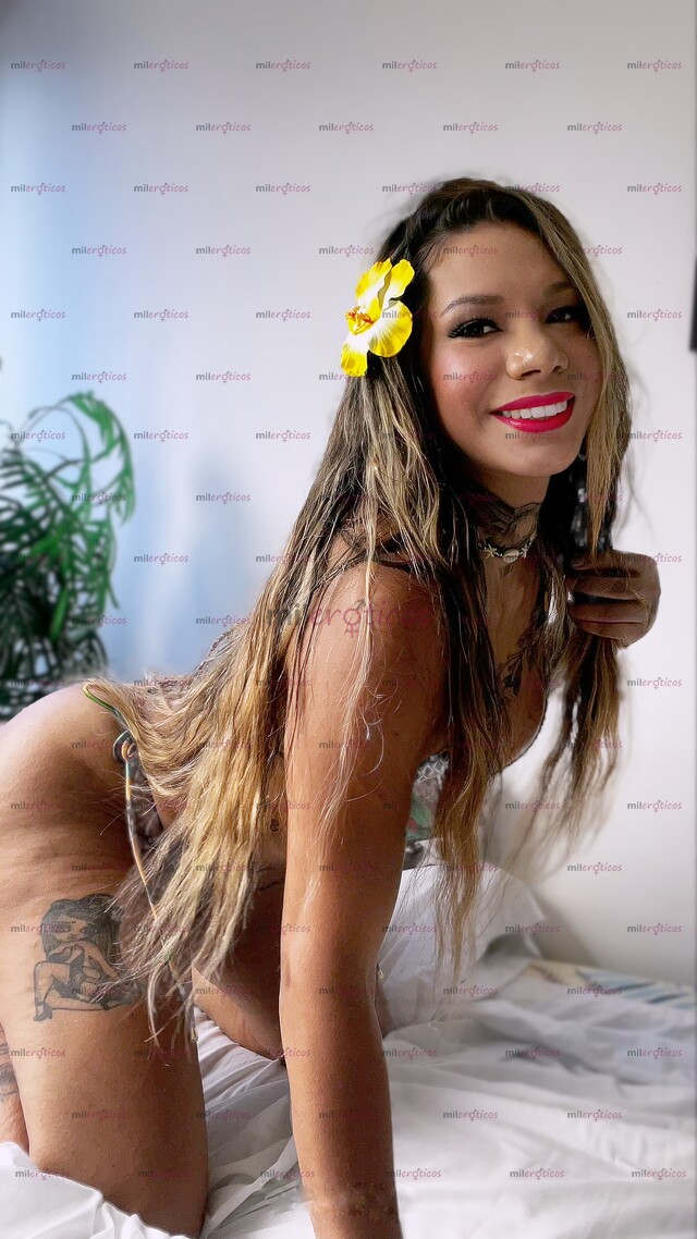 FOTOS DE ¡!TRANS FEMENINA NO PIERDAS TU TIEMPO AQUI ENCUENTRAS TODA TU FANTASIA !!