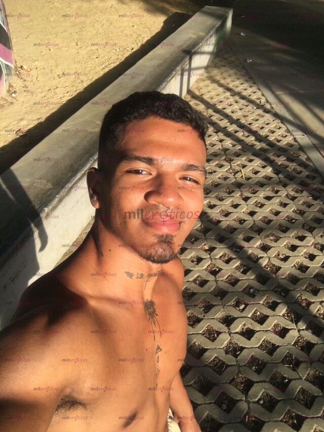FOTOS DE NUEVO EN LA CIUDAD HIMEROS MACHO MORENO VERGON 21 CM