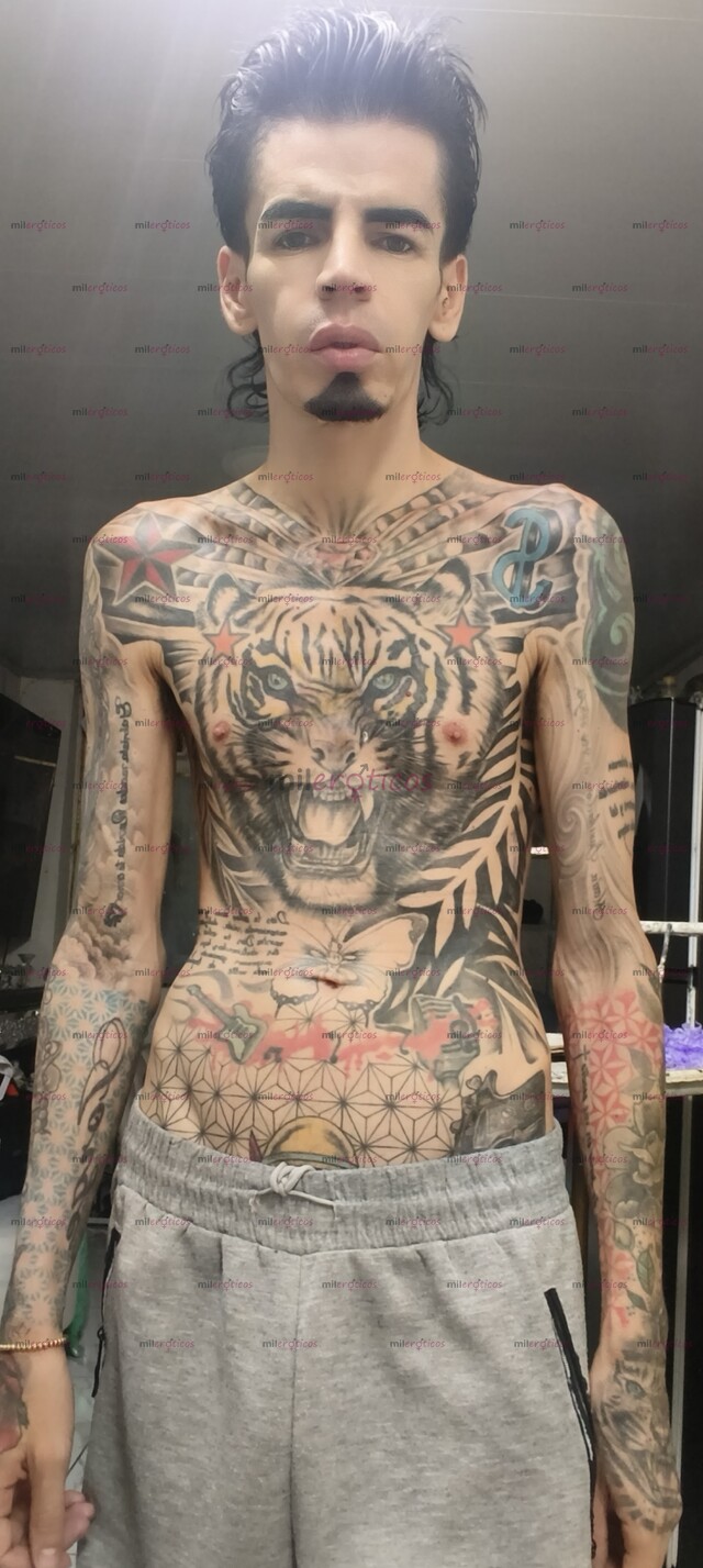 FOTOS DE FLACO SERIO VERGON ACTIVO TATUADO BLANCO SITIO