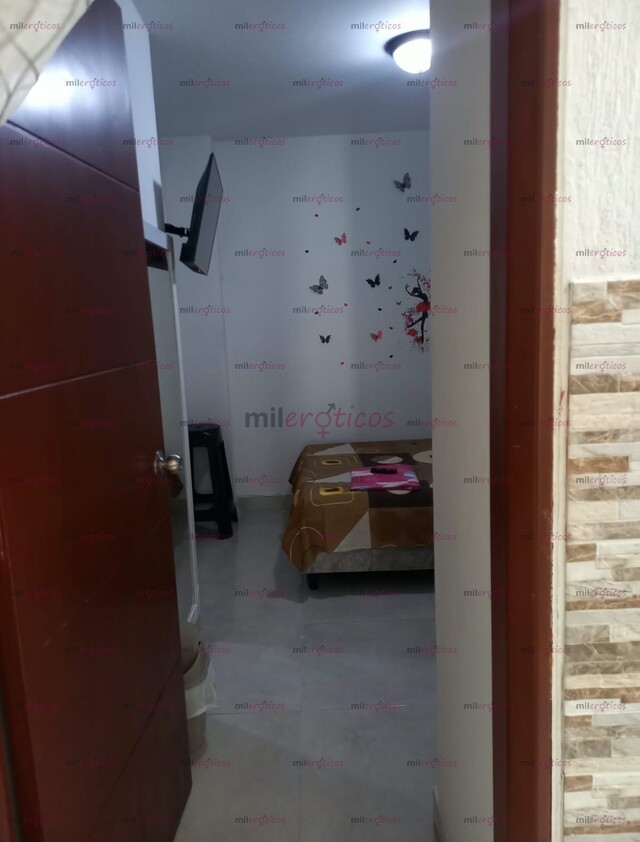 FOTOS DE PALMIRA HABITACIONES EN LA CIUDAD DE PALMIRA VALLE PARA CHICAS INDEPENDIENTES