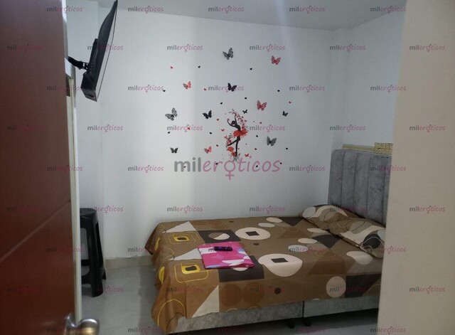 FOTOS DE PALMIRA OFRECEMOS. HABITACIONES EQUIPADAS LISTAS PARA TRABAJAR