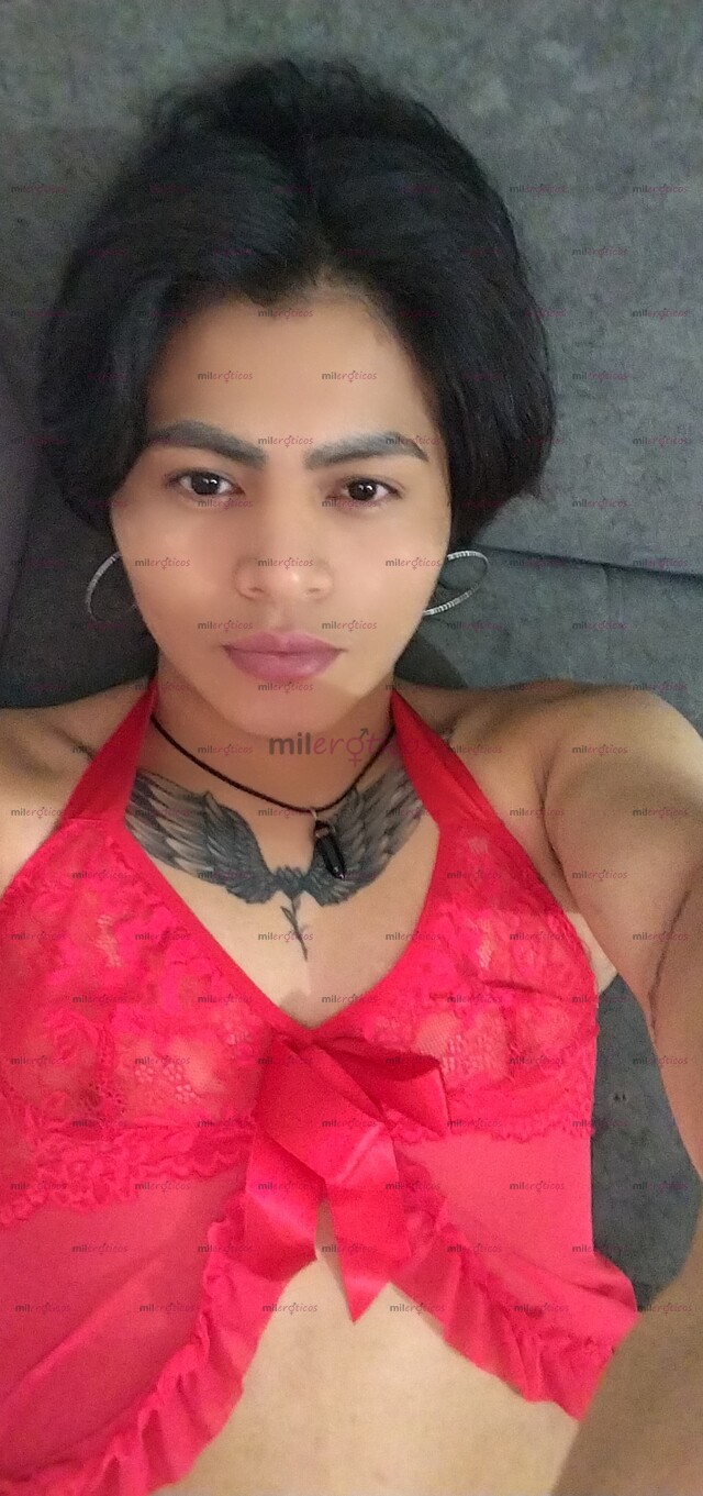 FOTOS DE 1.1CHIVO FEMBOY VERSÁTIL CUENTA CON SITIO SOY ARRECHO CARIÑO COMPLACIENTE BUENA