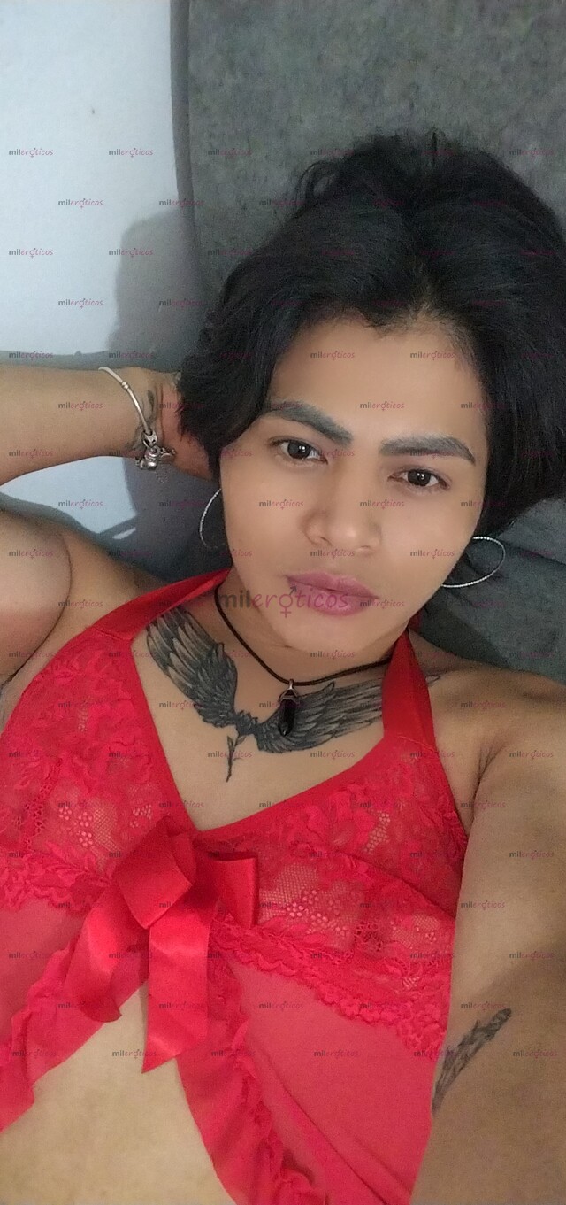 FOTOS DE 1.1CHIVO FEMBOY VERSÁTIL CUENTA CON SITIO SOY ARRECHO CARIÑO COMPLACIENTE BUENA