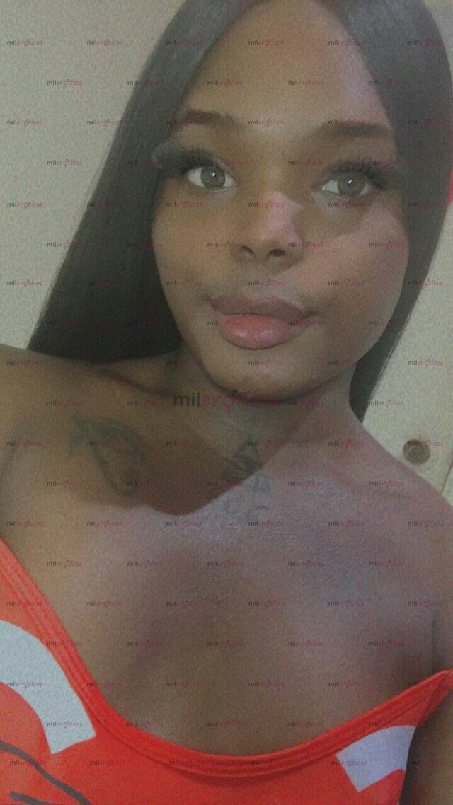 FOTOS DE LA TRANS QUE TRANSFORMA LOS MACHOS EN PERRAS SUMISAS
