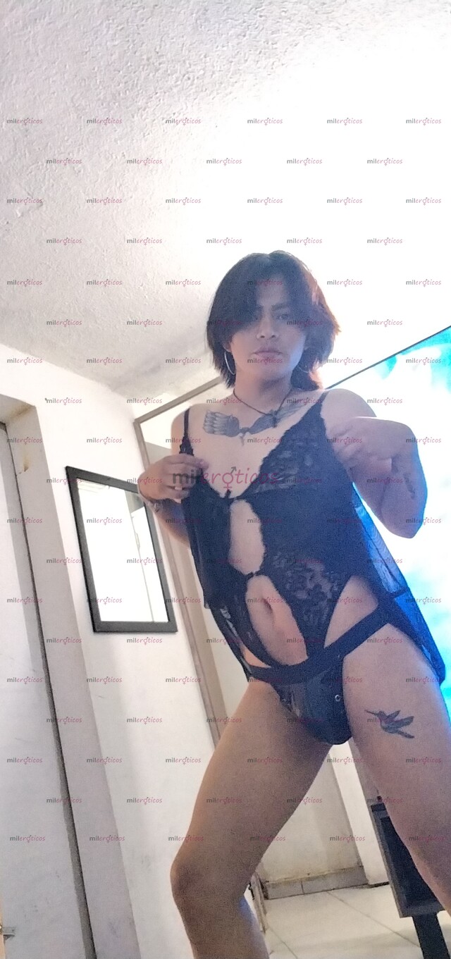 FOTOS DE 12 TRAVESTI VERSÁTIL ARRECHA VERSÁTIL COMPLACIENTE DISPONIBLE PARA COMPLACER TUS